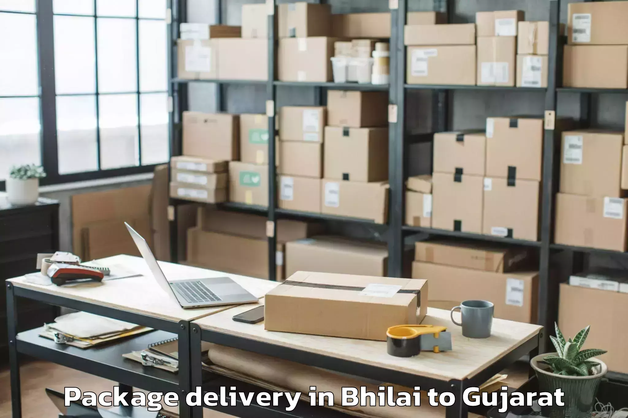 Book Bhilai to Malpur Package Delivery Online